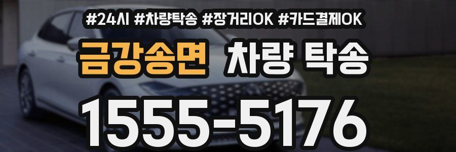 금강송면 차량 탁송