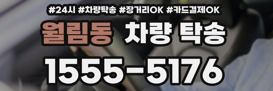 월림동 차량 탁송