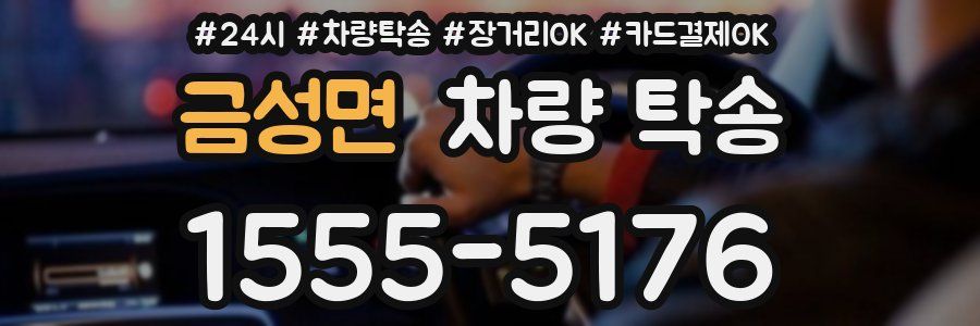 금성면 차량 탁송