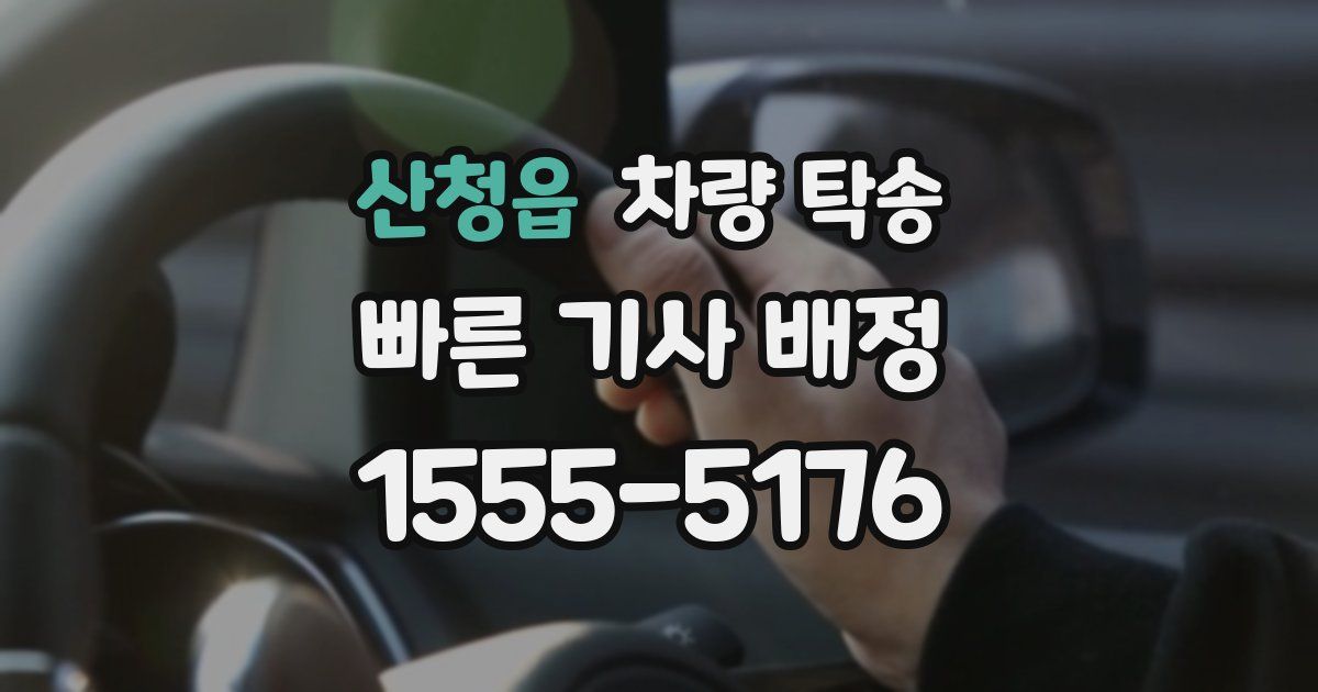 산청읍 차량 탁송