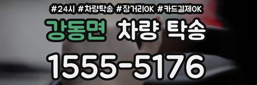 강동면 차량 탁송