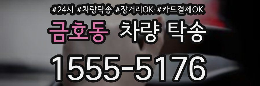 금호동 차량 탁송