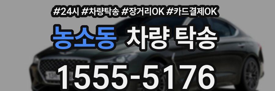 농소동 차량 탁송