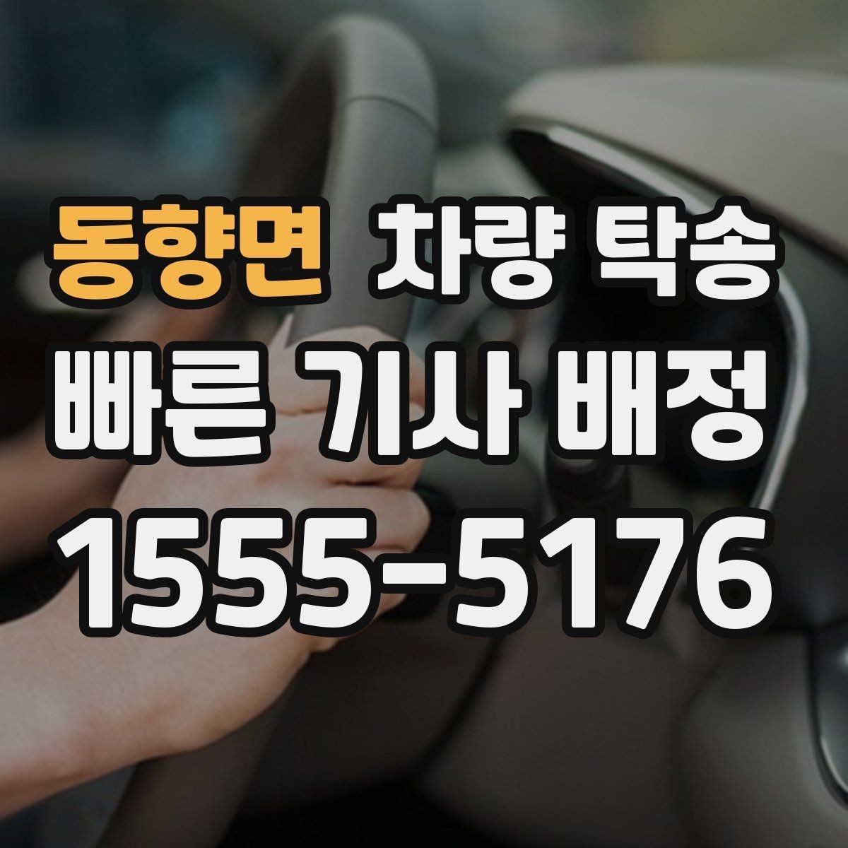 동향면 차량 탁송 차량이 여러 대라 이동이 복잡할 때