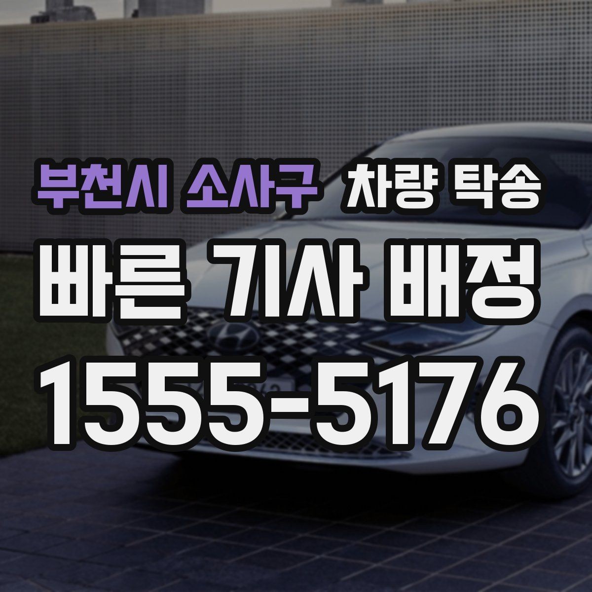 부천시 소사구 차량 탁송 반려동물 용품이 있을 때 준비 사항