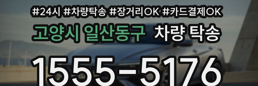 고양시 일산동구 차량 탁송