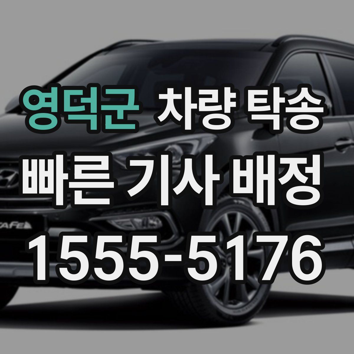 영덕군 차량 탁송