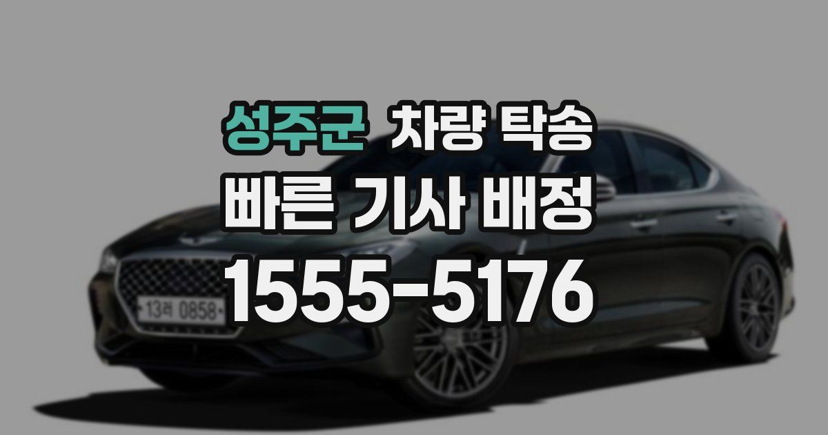 성주군 차량 탁송