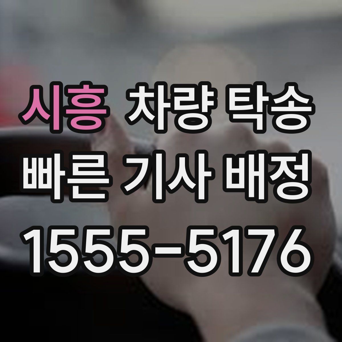 시흥 차량 탁송 반려동물 용품·유아용품이 있을 때 준비