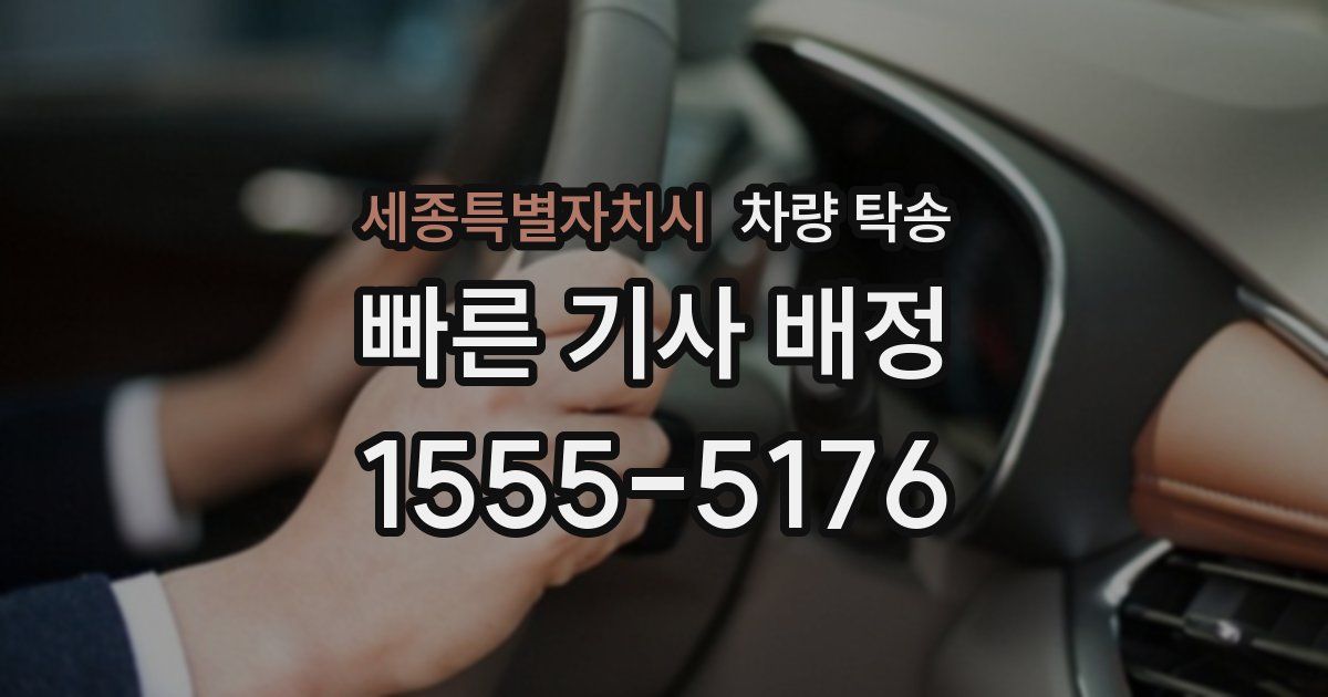 세종특별자치시 차량 탁송