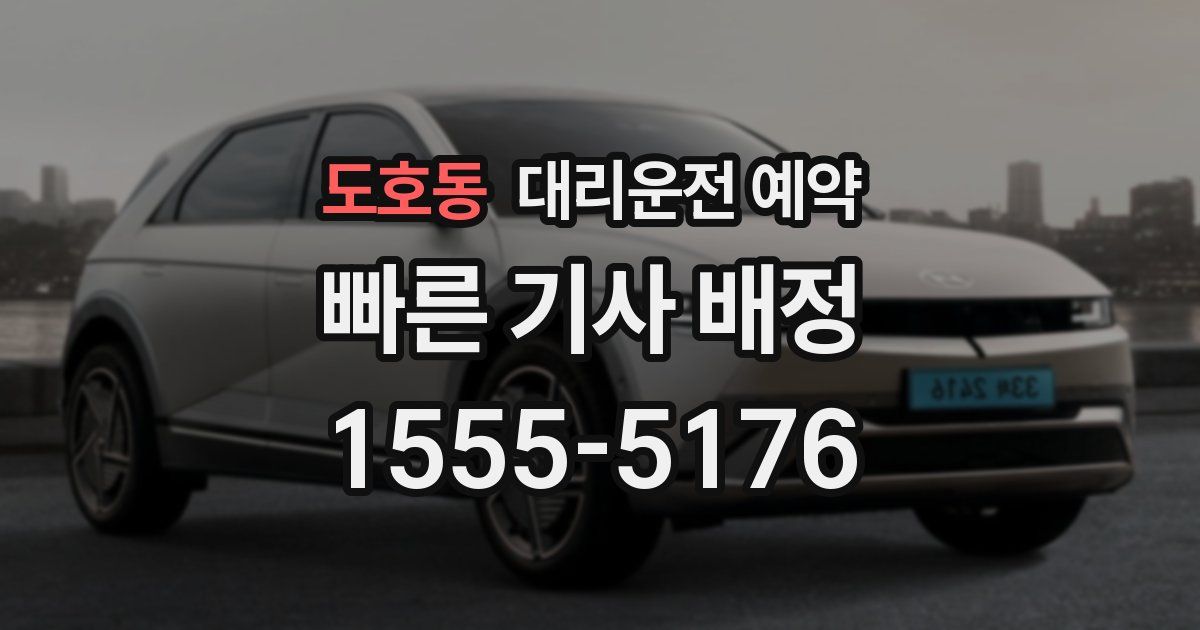 도호동 대리운전 예약