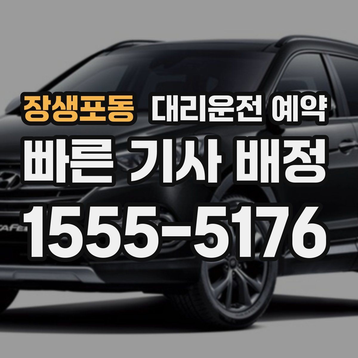 장생포동 대리운전 예약 반려동물 동승 시 예약 단계에서 체크할 점