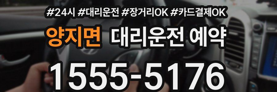 양지면 대리운전 예약