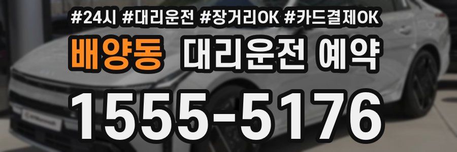 배양동 대리운전 예약
