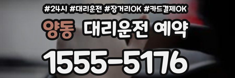 양동 대리운전 예약