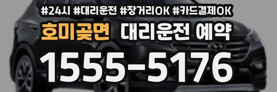 호미곶면 대리운전 예약