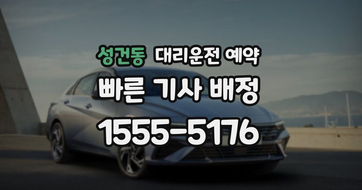 성건동 대리운전 예약