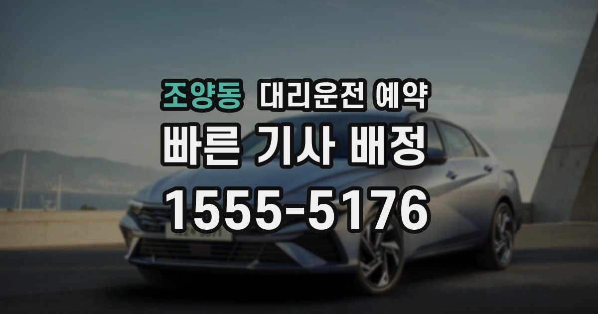 조양동 대리운전 예약