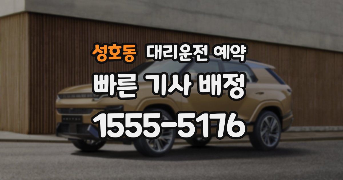 성호동 대리운전 예약