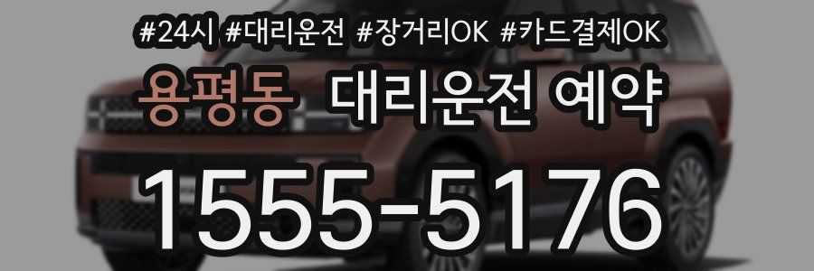 용평동 대리운전 예약