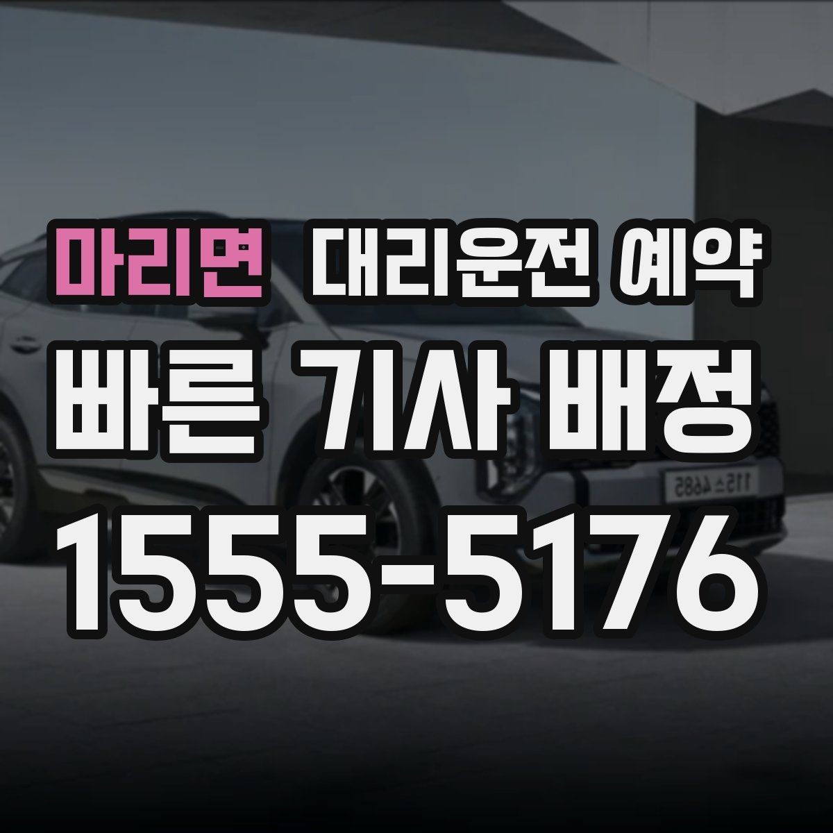 마리면 대리운전 예약 반려동물 동승 시 예약 단계에서 체크할 점