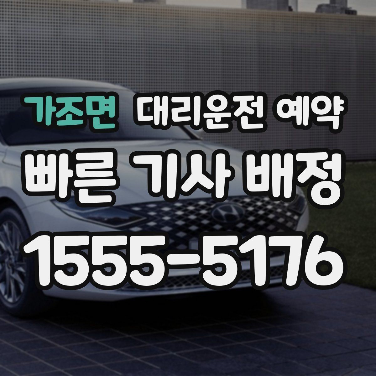 가조면 대리운전 예약 반려동물 동승이 있을 때 미리 말해야 하는 이유