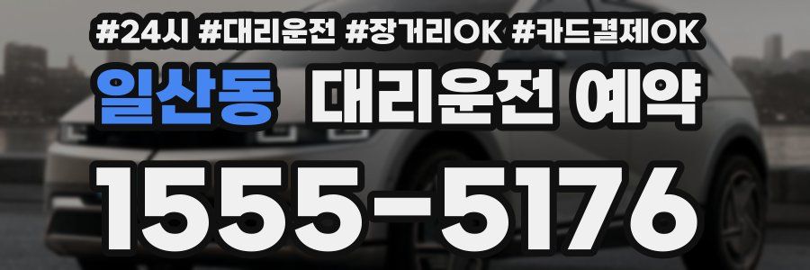 일산동 대리운전 예약