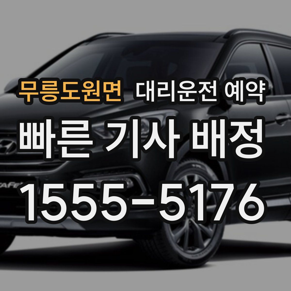 무릉도원면 대리운전 예약