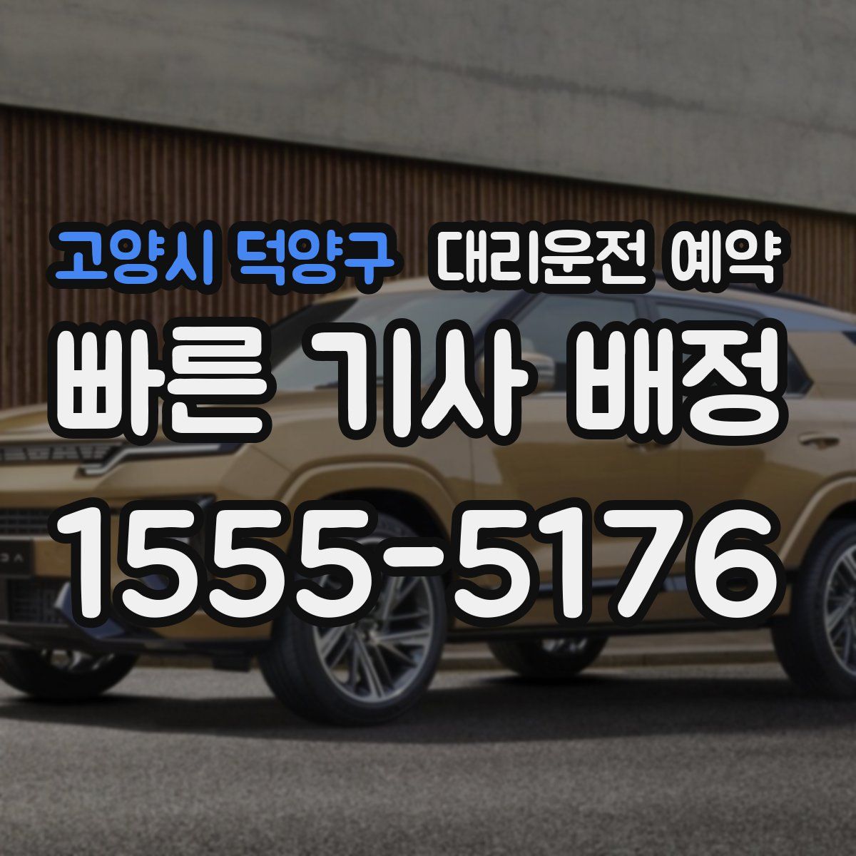 고양시 덕양구 대리운전 예약