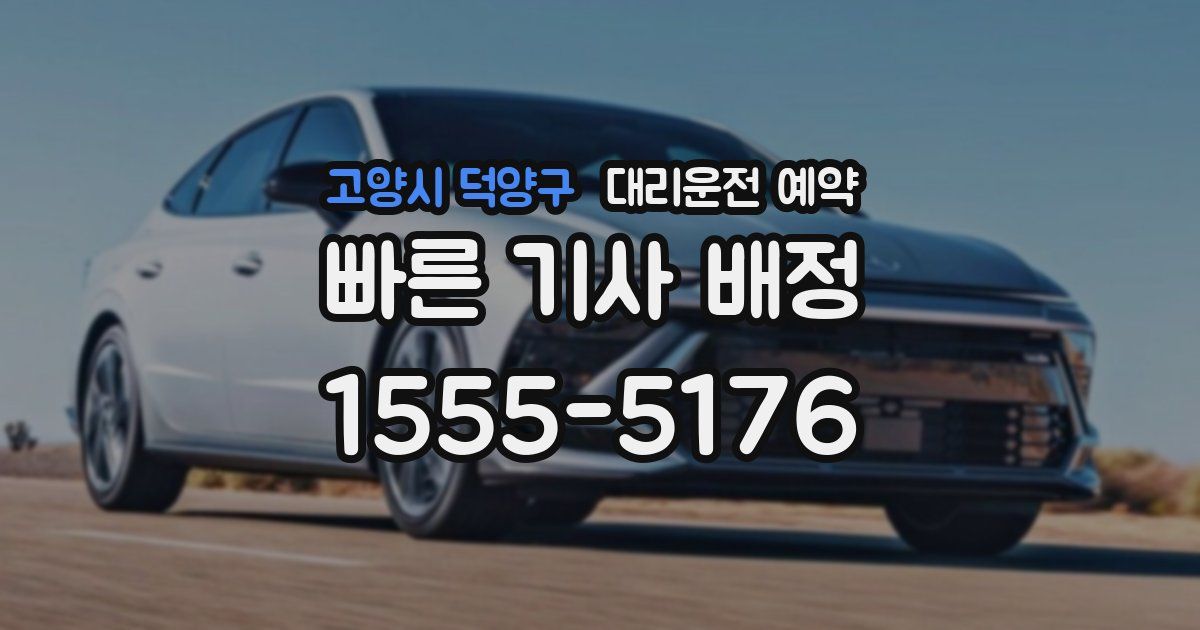 고양시 덕양구 대리운전 예약