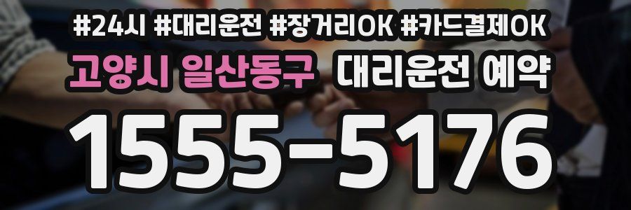 고양시 일산동구 대리운전 예약
