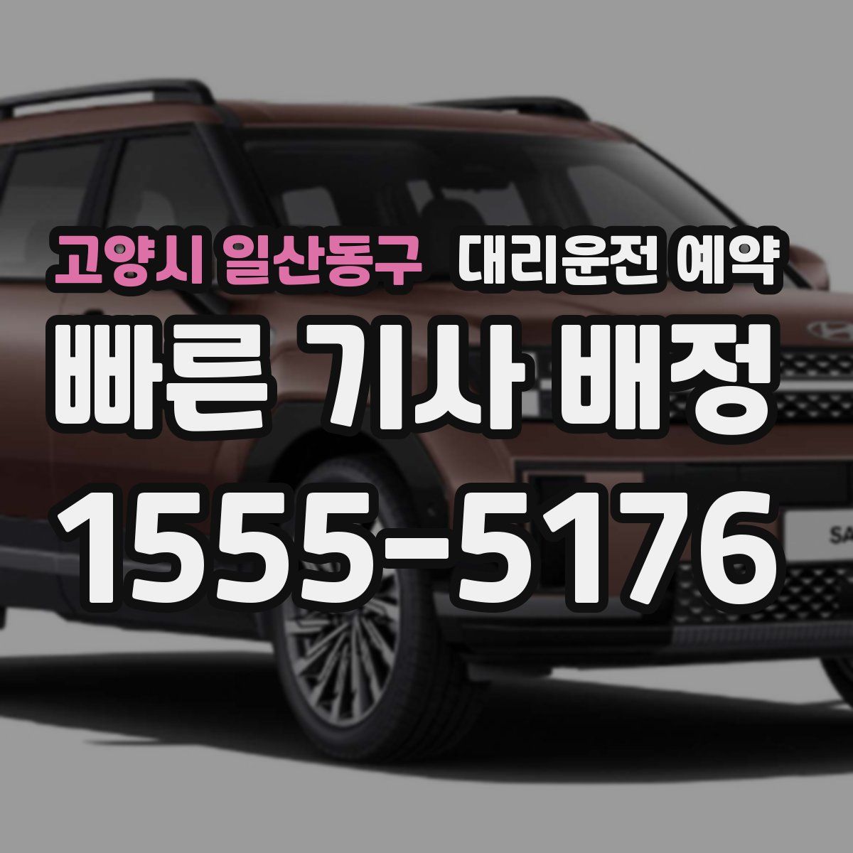 고양시 일산동구 대리운전 예약