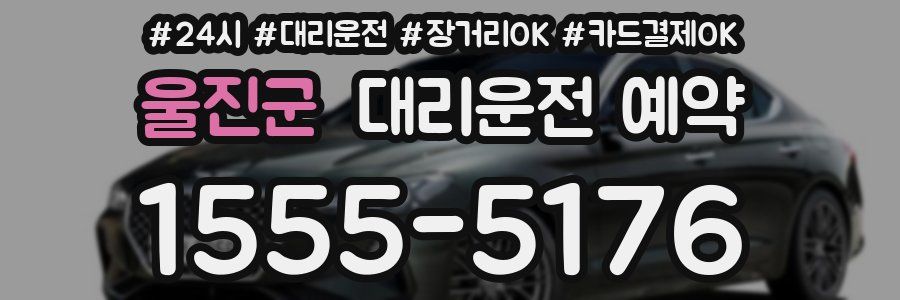 울진군 대리운전 예약