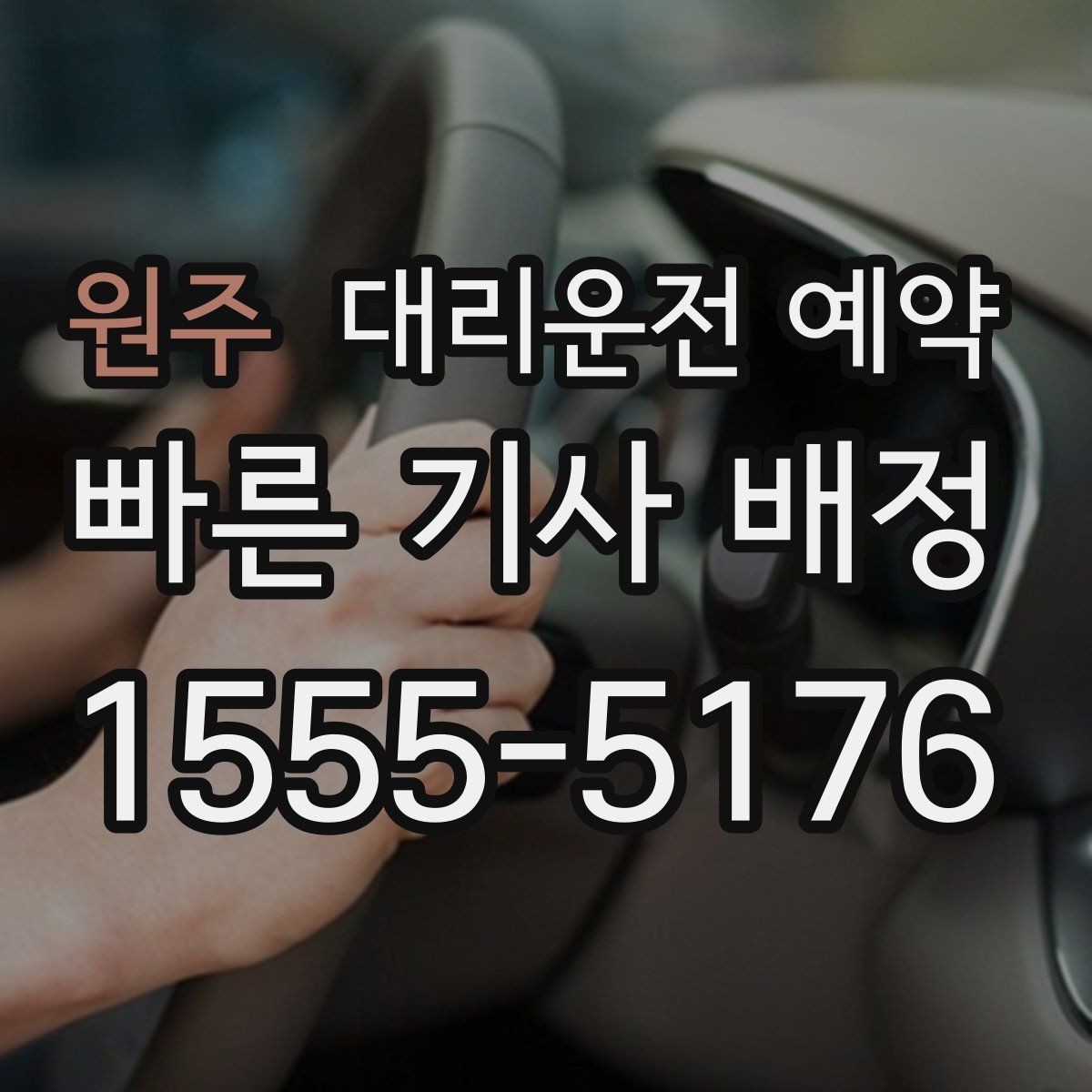 원주 대리운전 예약 반려동물 동승 시 예약 단계에서 체크할 점