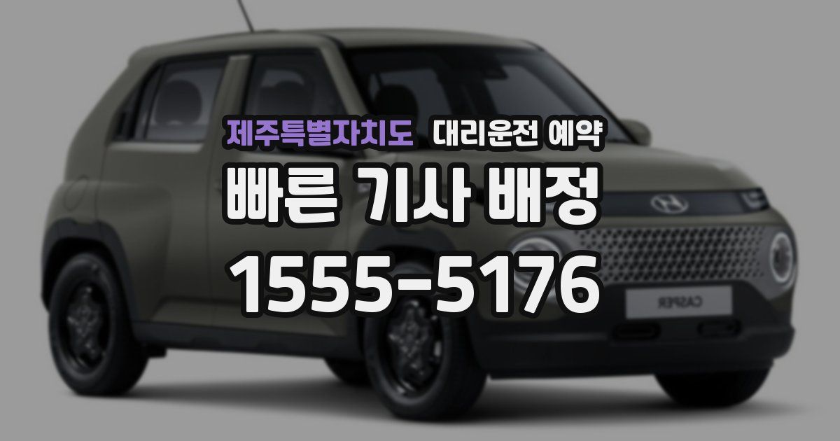 제주특별자치도 대리운전 예약