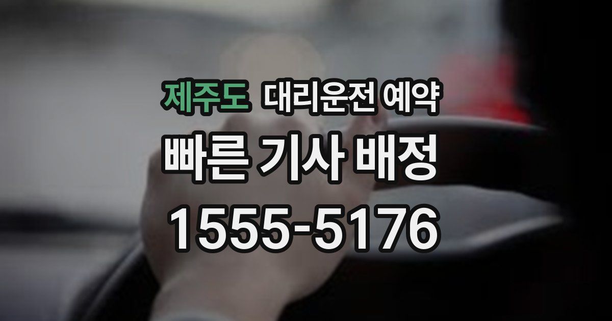 제주도 대리운전 예약