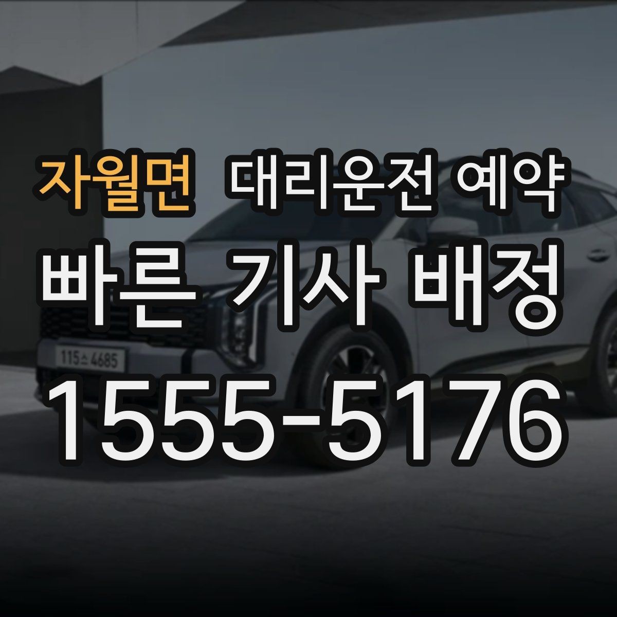 자월면 대리운전 예약 반려동물 동승이 있을 때 미리 말해야 하는 이유