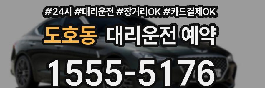 도호동 대리운전 예약