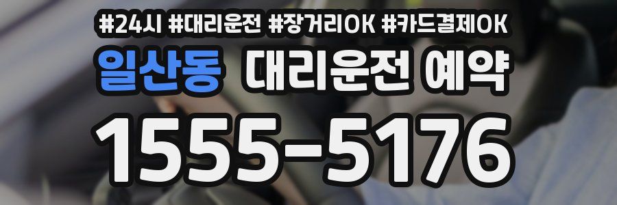 일산동 대리운전 예약