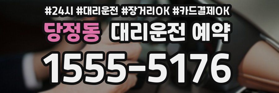 당정동 대리운전 예약
