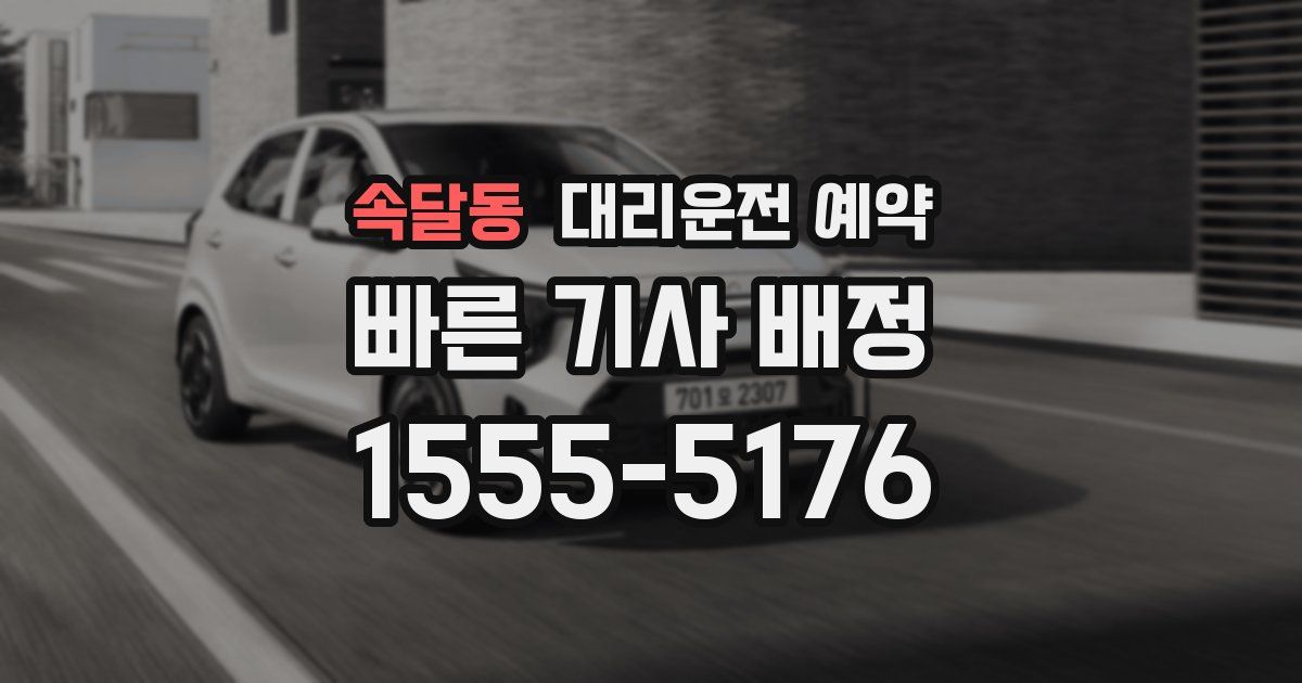 속달동 대리운전 예약