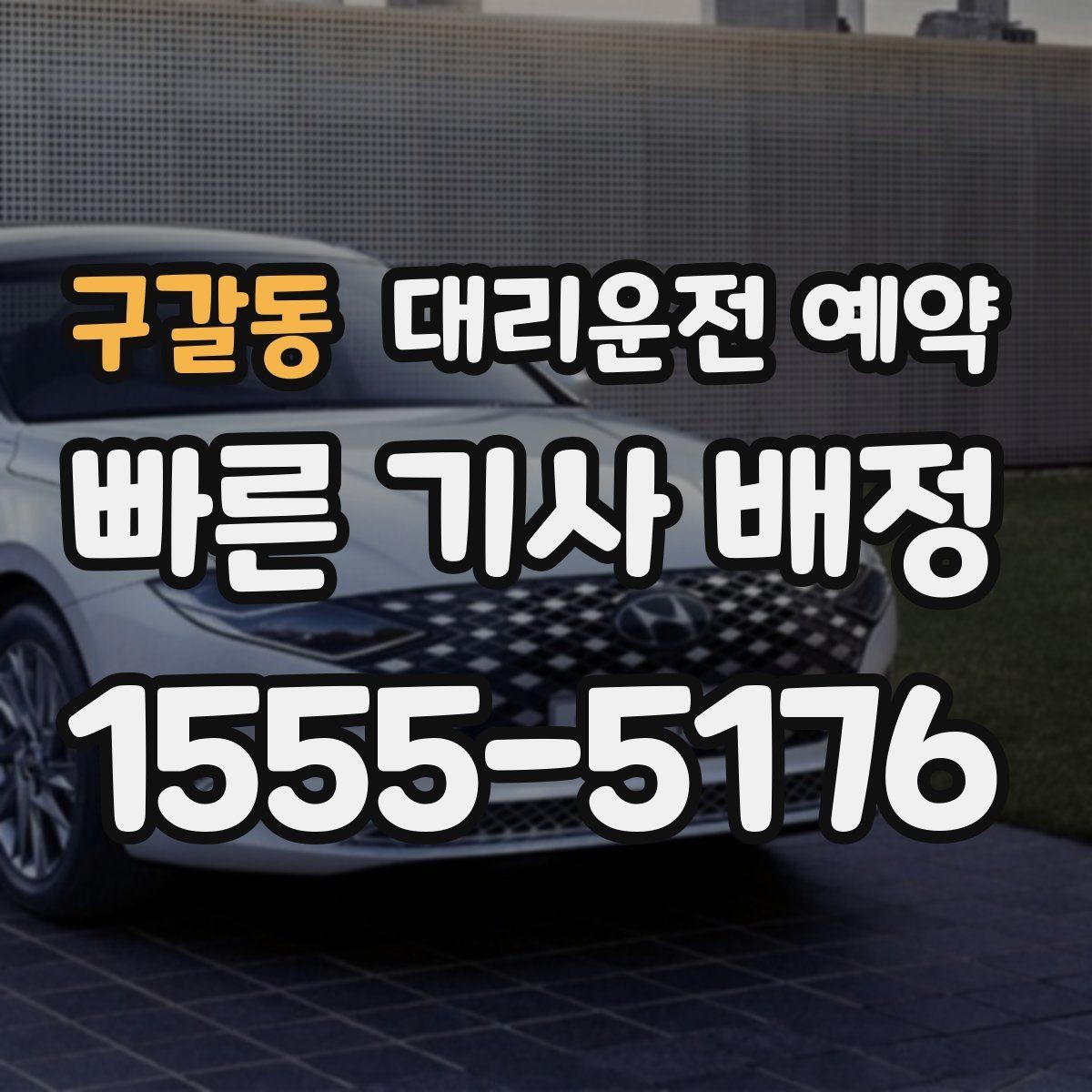 구갈동 대리운전 예약 반려동물 동승이 있을 때 미리 말해야 하는 이유