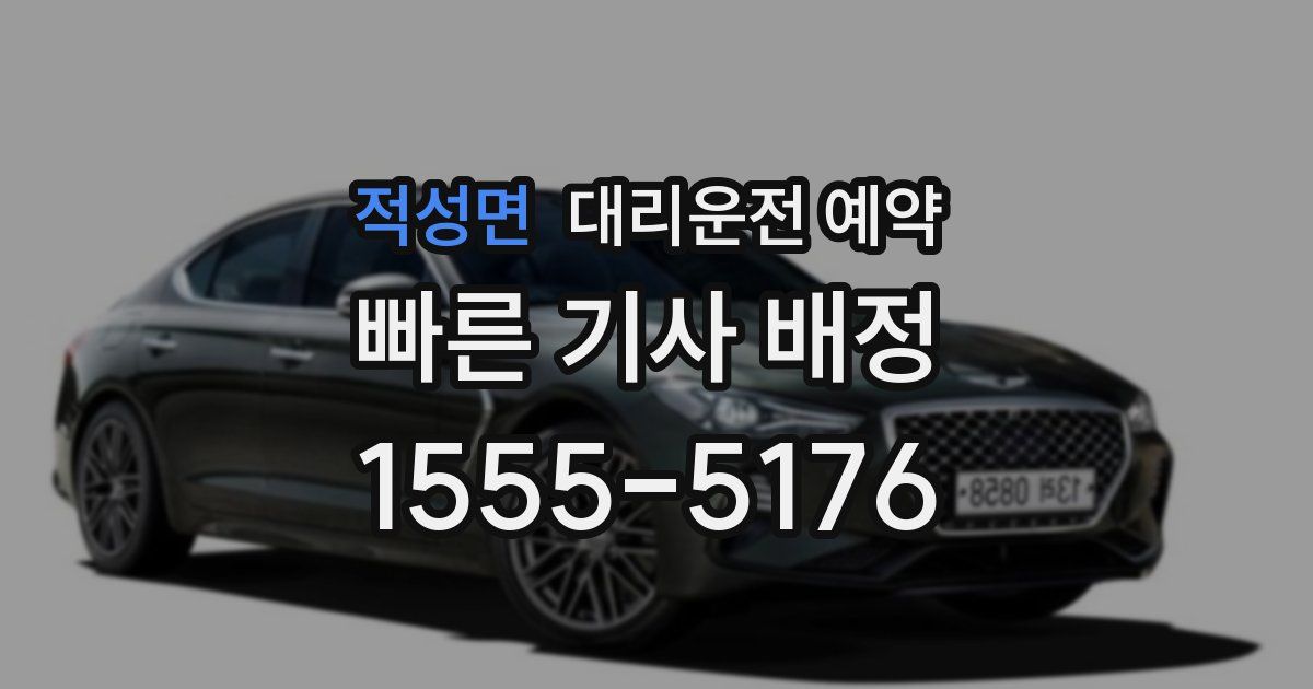 적성면 대리운전 예약