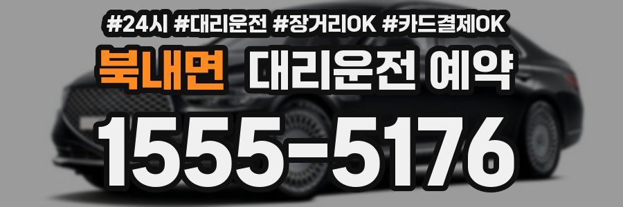 북내면 대리운전 예약