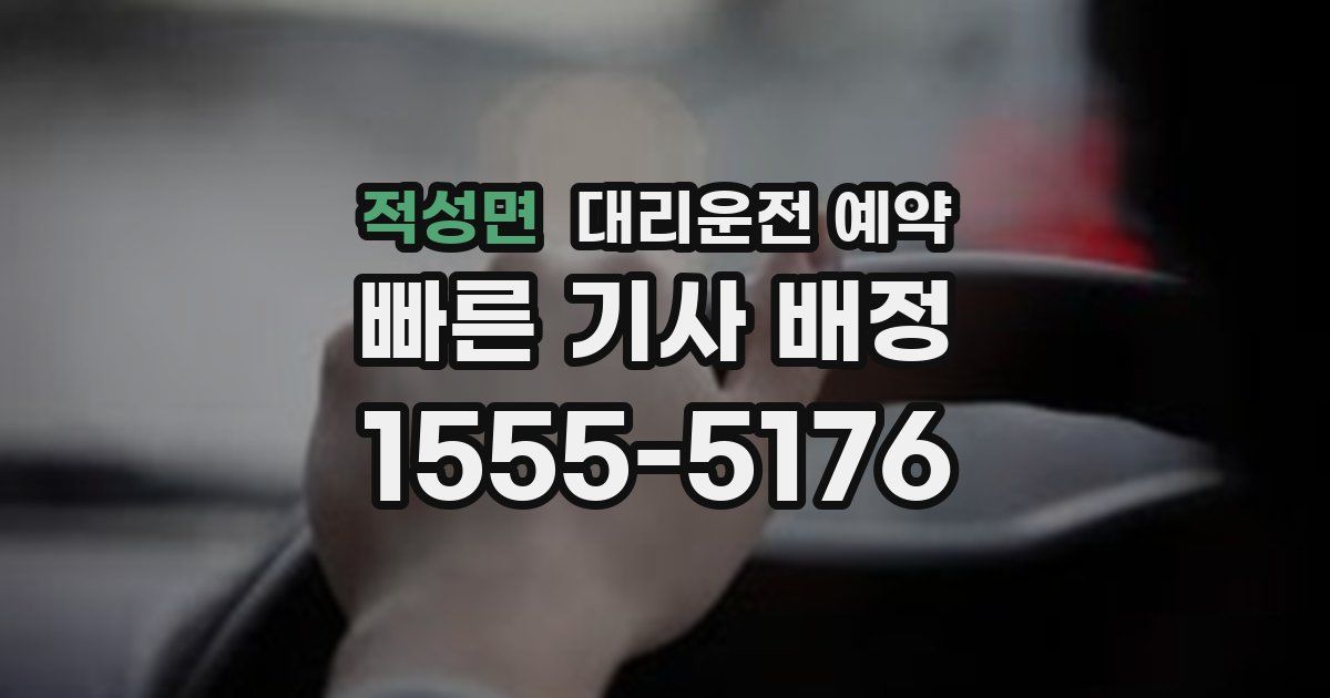 적성면 대리운전 예약