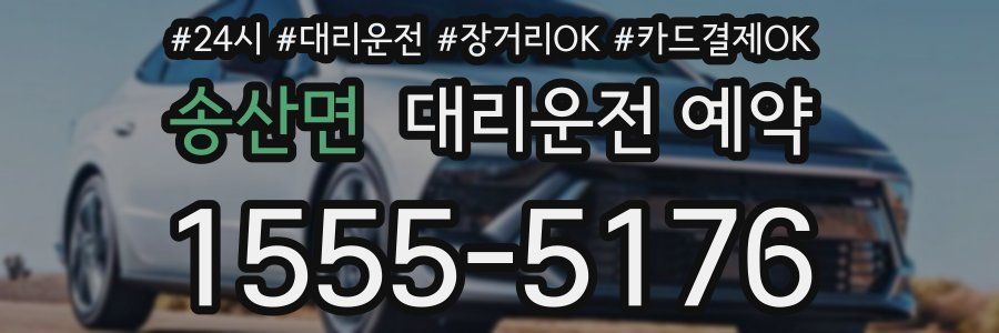 송산면 대리운전 예약