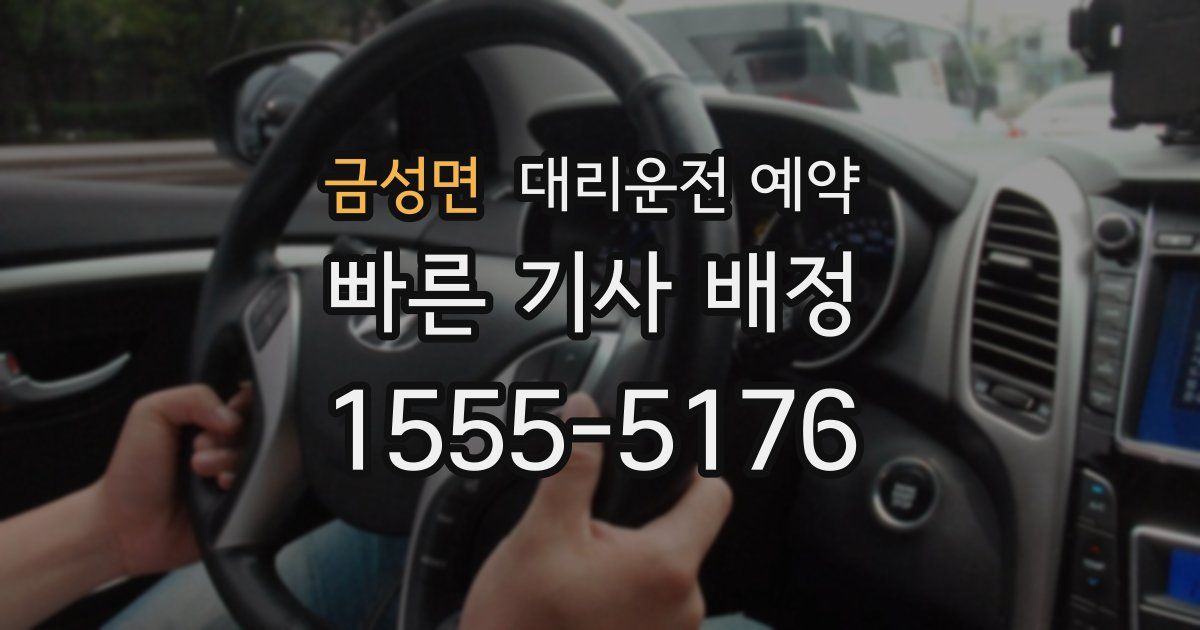 금성면 대리운전 예약