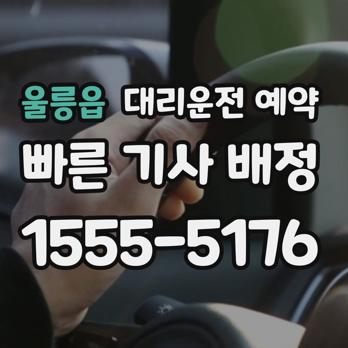 울릉읍 대리운전 예약