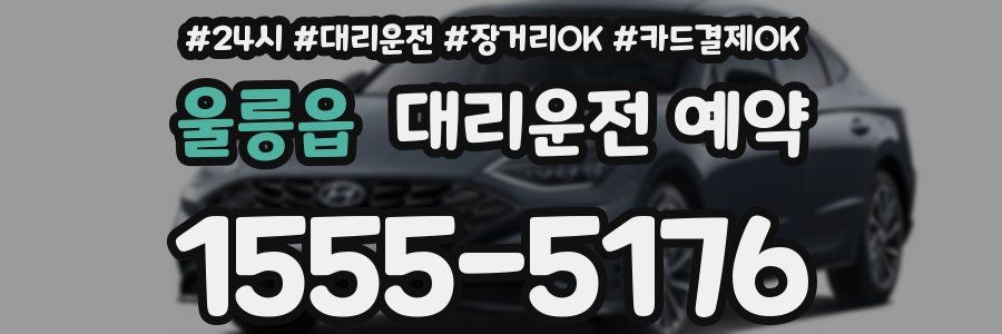 울릉읍 대리운전 예약