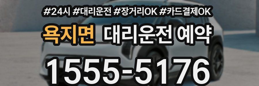 욕지면 대리운전 예약